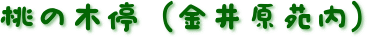 桃の木停（金井原苑内）