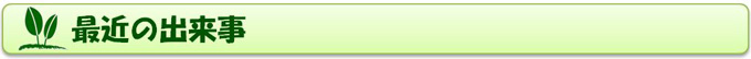 最近の出来事 最近の出来事